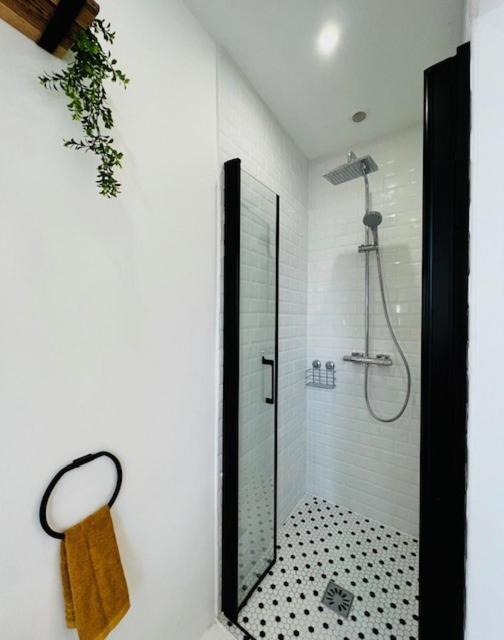 Charmant Et Lumineux Appartement مونبيلييه المظهر الخارجي الصورة